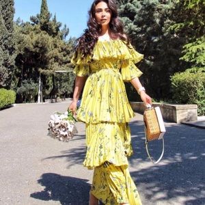 Bohemian Self-Portrait dress - a true gem!